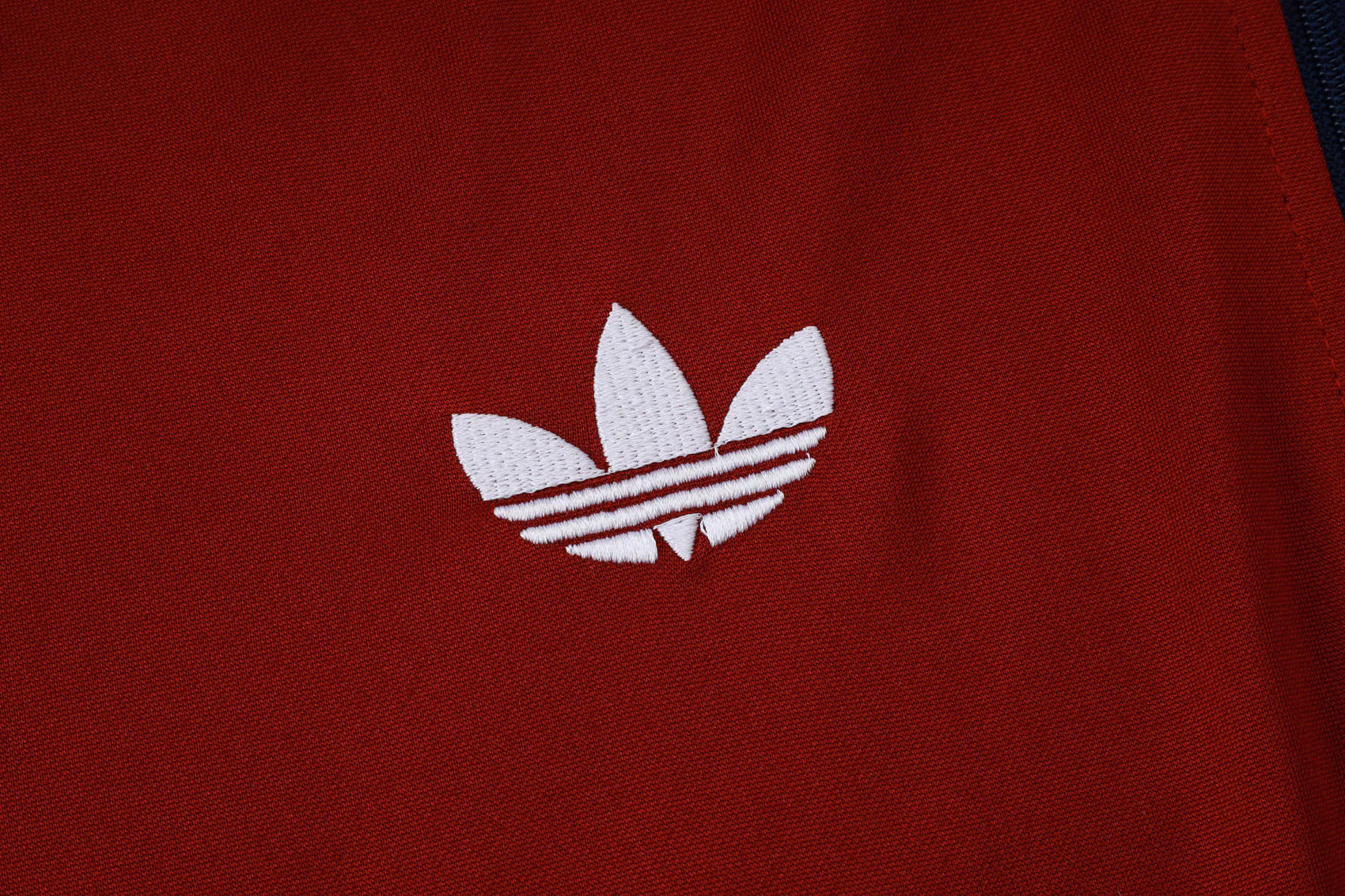 Tuta - Image 5